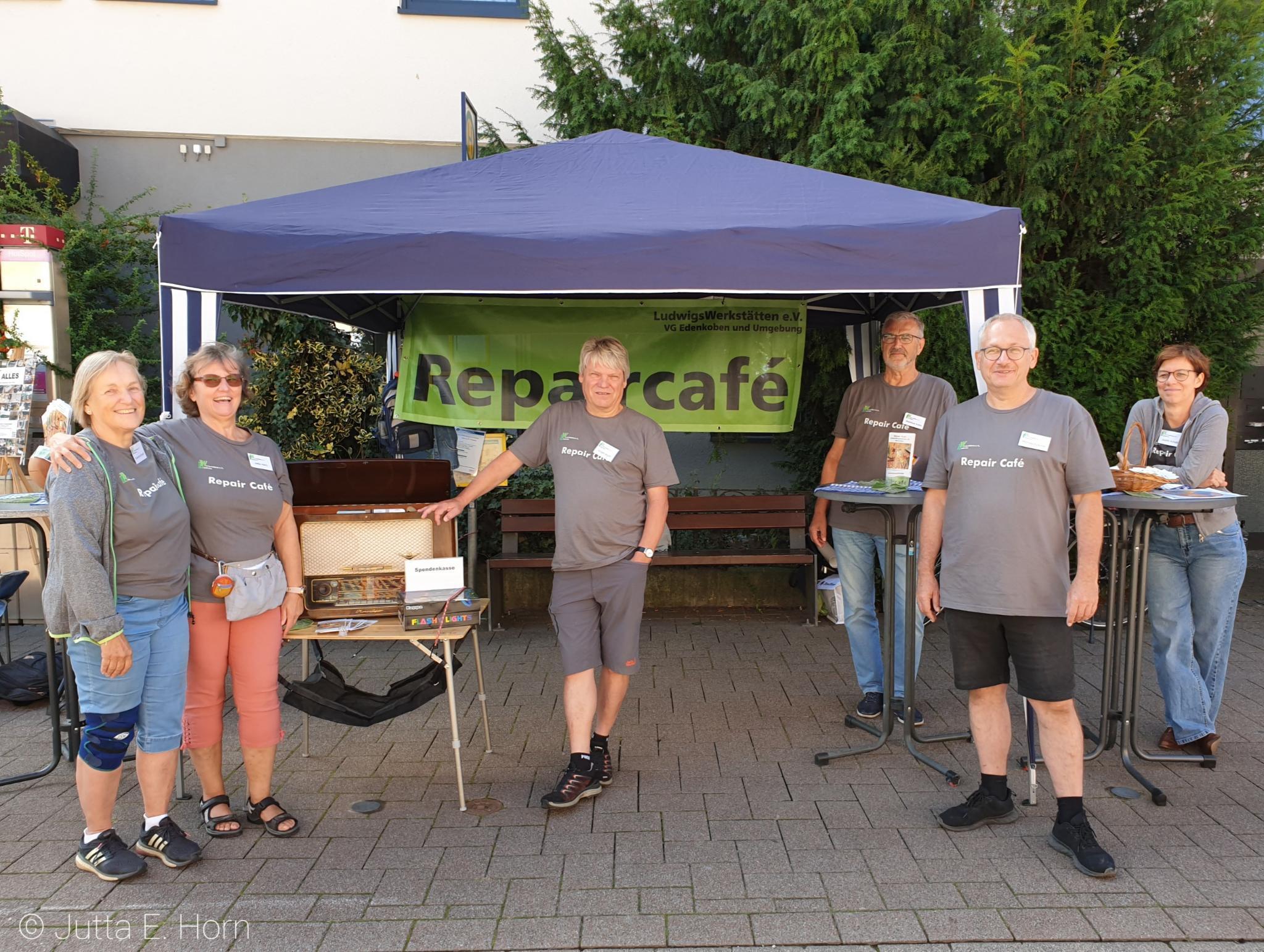 Frauenanteil weiter gestiegen!